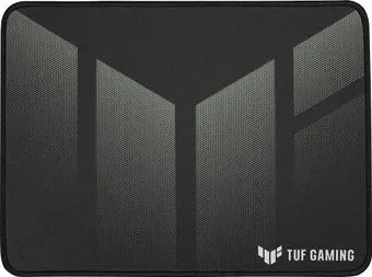 ASUS TUF Gaming P1