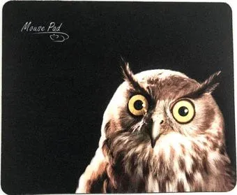 Dialog PM-H15 Owl