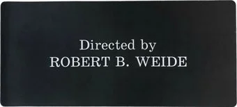 Lorex Cyber Big. Director LXMSPCB-DC