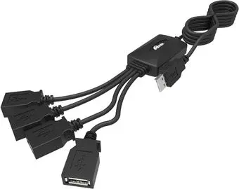 Ritmix CR-2405