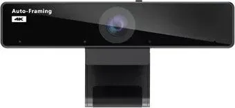 Nearity V30