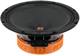 DL Audio Raven 200 v2