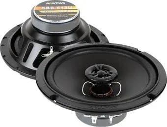 Avatar XBR-613U