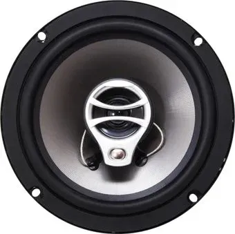 AMP Beat 653