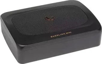 Infinity Basslink Mini