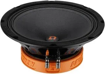 DL Audio Raven 200