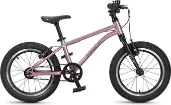 Maxiscoo Stellar 16 2026 MSC-ST1653 (розовый)