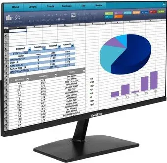 ExeGate SmartView EZ2400A EX300420RUS