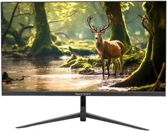 Mastero P2222H