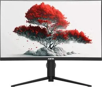 RDW Computers 2706C/Q03В375V2A1