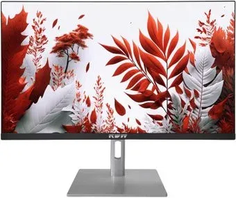 RDW Computers 2407K/F14В3120V2A1B
