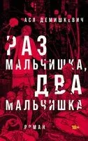 Раз мальчишка, два мальчишка - Анастасия Демишкевич - 2024 год