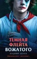 Темная флейта вожатого - Владимир Волков - 2025 год