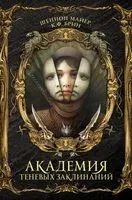 Академия теневых заклинаний - К. Брин, Шеннон Майер - 2023 год