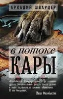 В потоке Кары - Аркадий Шварцер - 2025 год