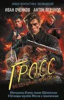 Воздушные фрегаты. Гросс - Иван Оченков, Антон Перунов - 2024 год