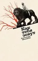 Как тебя зовут - Александра Шалашова - 2025 год