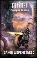 Закон Шереметьево - Дмитрий Силлов - 2025 год