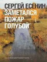 Заметался пожар голубой - Сергей Есенин - 2025 год