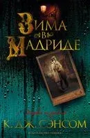 Зима в Мадриде - Кристофер Сэнсом - 2022 год