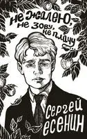 Не жалею, не зову, не плачу... - Сергей Есенин - 2025 год