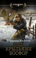 Под крыльями Босфор - Владимир Малыгин - 2022 год