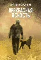 Прекрасная ясность - Юрий Сорокин - 2025 год