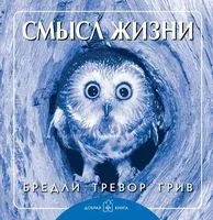 Смысл жизни - Бредли Грив - 2017 год