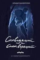 Сновидящий и Снотворящий - Ильдар Насибуллин - 2025 год