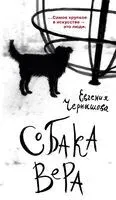 Собака Вера - Евгения Чернышова - 2025 год