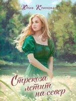 Стрекоза летит на север - Юлия Климова - 2026 год
