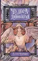 Чудеса Дивнозёрья - Алан Чароит - 2024 год