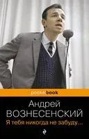Я тебя никогда не забуду... - Андрей Вознесенский - 2023 год
