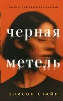 Черная метель - Элисон Стайн - 2025 год