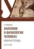 Анатомия и физиология человека. Рабочая тетрадь. Учебное пособие - С. Яковлева - 2026 год