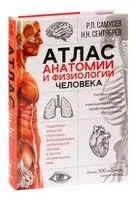 Атлас анатомии и физиологии человека. Учебное пособие для студентов учреждений среднего профессионального образования - Рудольф Самусев, Николай Сентябрев - 2026 год