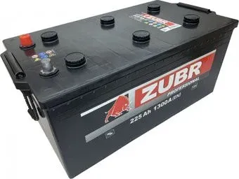 Zubr Professional L+ (225 А·ч)