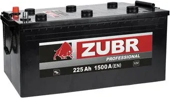 Zubr Professional L+ Турция (225 А·ч)