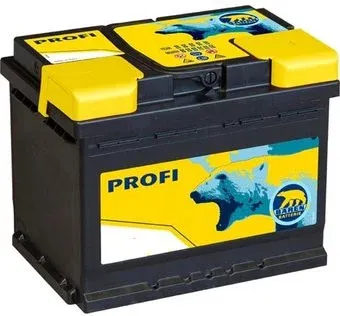 Baren Profi 7905683 (60 А·ч)