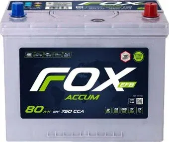 Foxaccum EFB Asia R+ (80 А·ч)