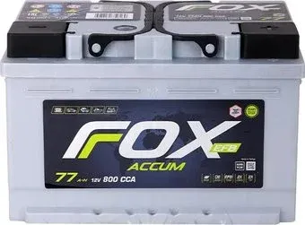Foxaccum EFB R+ низк. (77 А·ч)