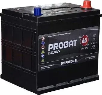 Probat Asia 600A R+ (65 А·ч)