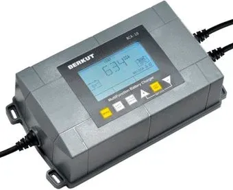 Беркут BCA-10