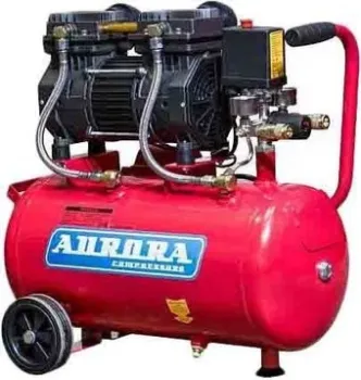 Aurora Passat-25