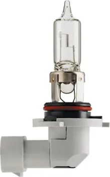 Flosser HB3 12V 60W P20d 1шт [9005]