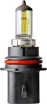 Flosser HB1 12V 65/45W P29t Gold 1шт [9004777]