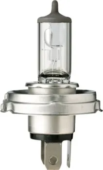 Flosser H4 24V 100/90W P45t [8290045]