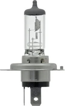 Bosch H4 Plus 30 1шт