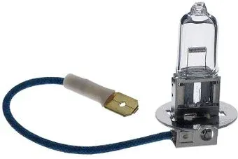 Flosser H3 12V 100W PK22s 1шт [13320]