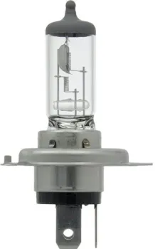 Bosch H4 Trucklight Maxlife 1шт